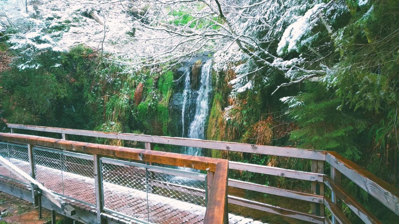 弗罗伊登施塔特Wanderlust Panorama - Leben Im Nationalpark公寓 外观 照片